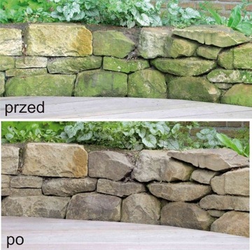 ОСМО 6606 Средство для удаления налета зеленого мха