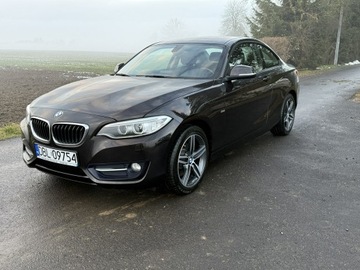 BMW Seria 2 F22-F23-F45-F46 Coupe 220i (Euro 6) 184KM 2016 BMW 220 2.0i 184KM 68tys.km. Navi Bezwypadkowy