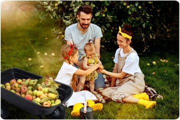 Тачка Barrow, садовая транспортная тележка, самосвал, 3в1