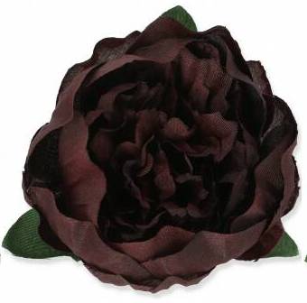 PEONIA PIWONIA GŁÓWKA, ŚLIWKOWA 7 cm