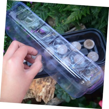 Поднос для закусок, 6 комплектов, лоток для рассады, контейнер для посева