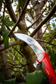 WOLF-Garten SAW PRO 370 + телескопическая пила ZM-V4