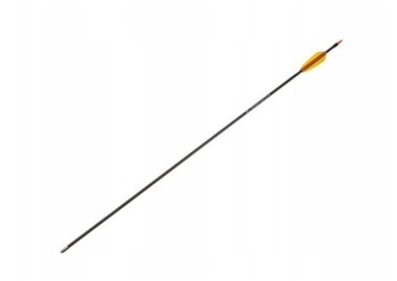 QBest Archery strzały do łuku 10 szt 28