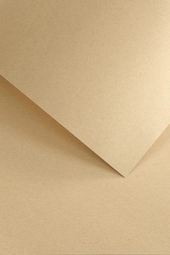 Papier Karton ozdobny NATURE ciemnobeżowy A4 220g 20ark