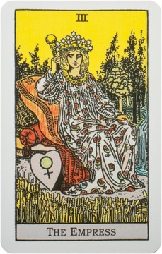 Rider Waite Tarot Pocket, instr. PL, AGM