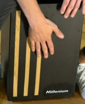 BlackBox Стринги кахон черный 30x48 см, топ Millenium ива