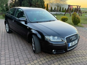 Audi A3 8P Hatchback 3d 1.6 102KM 2004 Audi A3 3-drzwiowe 1.6mpi 102KM Klima Alusy Grzane fotele Sprawdz 1.6, zdjęcie 21