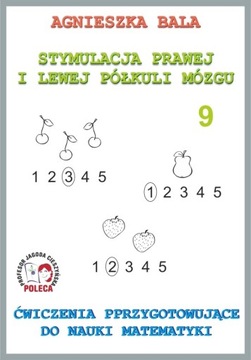 Zeszyt 9- Ćw. przygotowujące do nauki matematyki