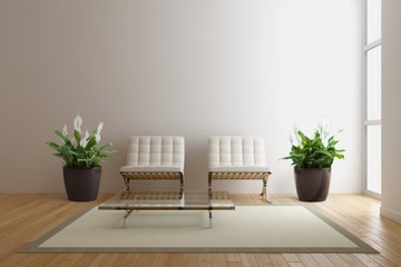 Горшок горшок магнолия корпус гладкие дайверы. 25 см белый