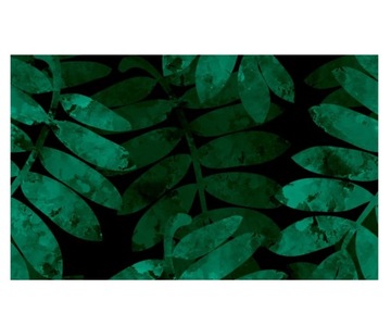 Fototapeta 520x318cm Liście na ciemnym tle