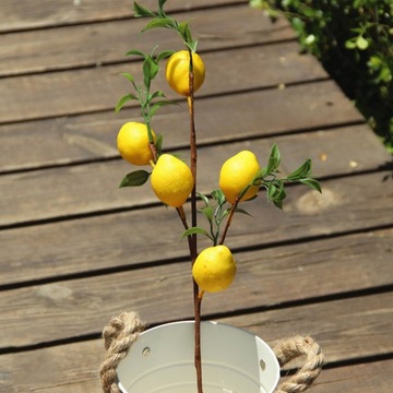 Hla-LEMON TRANG ИСКУССТВЕННЫЕ ЦВЕТЫ 50СМ