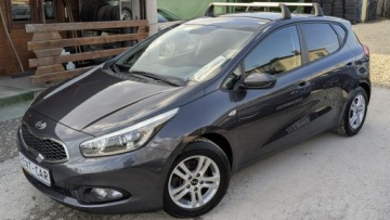 Kia Ceed II pro_cee´d 1.4 DOHC 100KM 2014 Kia Cee'd 1.4i 100PS OPŁACONY Bezwypadkowy, zdjęcie 2