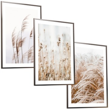 50x40 OBRAZY RAMIE PLAKATY RAMKA BOHO TRAWA PAMPAS