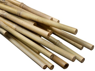 TYCZKI BAMBUSOWE 60 cm 10 szt Podpory do Roślin Kwiatów