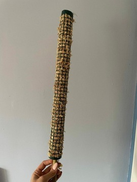 Palik z mchu Sphagnum 50cm