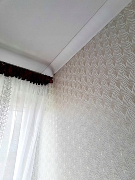 Потолочный свод, вогнутая арка 5х5 планка FAX01