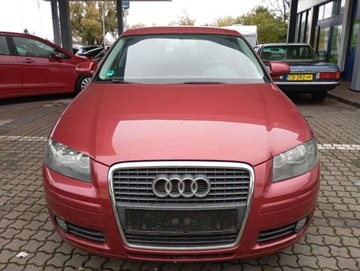Audi A3 8P Hatchback 3d 1.6 FSI 115KM 2007 Audi A3 Sportback 1.6 benzyna CLIMATRONIC PIEKNY kolor bez rdzy 1.6 115KM, zdjęcie 30