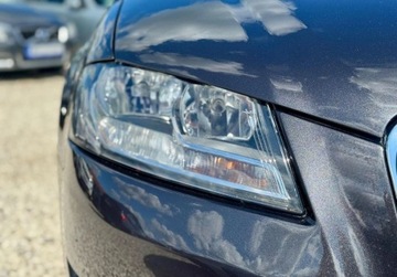 Audi A3 8P Hatchback 3d 1.6 102KM 2008 Audi A3 Sportback 1.6 MPI 102KM skory PDC cliamtronic tempoamt alu grzane, zdjęcie 35