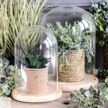 декоративный стеклянный купол, абажур на деревянной подставке, дисплей 27 см.