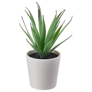 ALOES SUKULENT FEJKA SZTUCZNA ROŚLINA IKEA