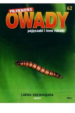 Prawdziwe Owady nr 62 Larwa drewnojada + okaz