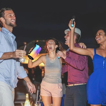 Mini sprzęt do karaoke z 2 mikrofonami, kolorowymi światłami, głośnikiem TWS, czarny