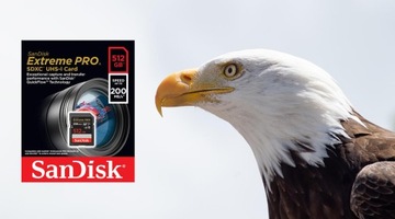 Карта памяти SANDISK Extreme PRO SDXC 512 ГБ