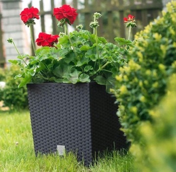 Вазон из ротанга DRTS225L Rato низкий + вставка Антрацит