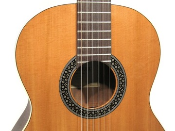 Классическая гитара Alhambra Hybrid Terra с сумкой
