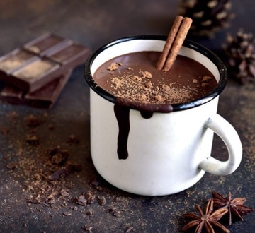 Czekoladziarka 5l gorąca czekolada GBG model CH-5