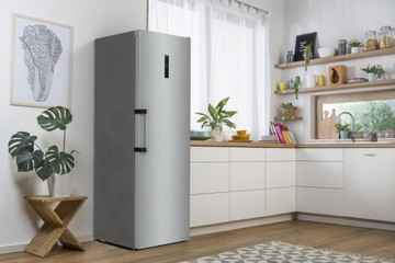 GORENJE FN619EAXL6 NoFrost морозильник, 280л, 185см, серебристый