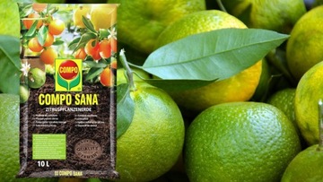 ЗЕМЛЯНОЙ СУБСТРАТ + УДОБРЕНИЕ ДЛЯ ЦИТРУСОВЫХ ЛИМОНОВ ЛАЙМА МАНДАРИНА АПЕЛЬСИНА КОМПО