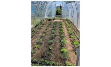 НАБОР ШЛАНГОВ ДЛЯ КАПЕЛЬНОГО ПОЛИВАНИЯ 50м+ 56шт.