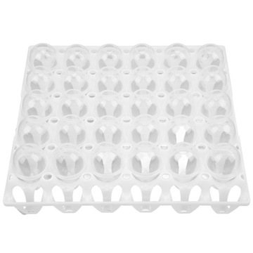 Модель яичной скорлупы и яичного лотка