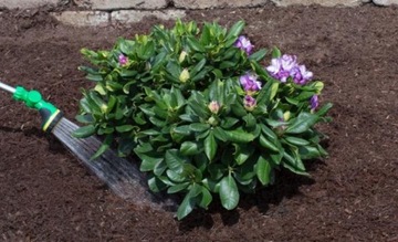 СУБСТРАЛЬНАЯ МАГИЧЕСКАЯ СИЛА ДЛЯ ХВОЙНЫХ 350г КИСЛОТА-ДОЛЕЧКА