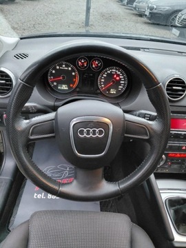 Audi A3 8P Hatchback 3d 1.4 TFSI 125KM 2010 Audi A3 Sportback Lift LED Klimatronik Elektryka Serwis 1.4 Benzyna 125KM, zdjęcie 10