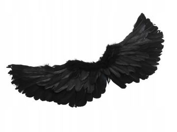 ЧЕРНОЕ ПЕРО КРЫЛЬЯ АНГЕЛ ДЬЯВОЛ ХЭЛЛОУИН