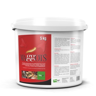 Maggots 5kg Zwalcza larwy much w oborach stajniach chlewach oborniku granul