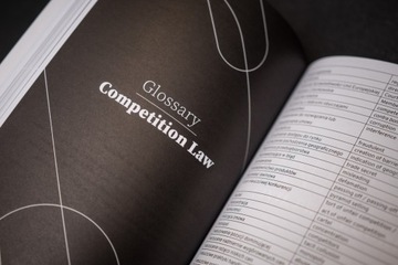 Книга «Продвинутый юридический английский для польских целей»