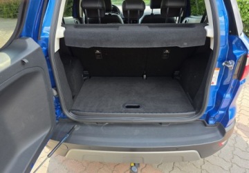 Ford Ecosport II SUV Facelifting 1.0 EcoBoost 125KM 2021 Ford EcoSport Benzyna 125KM, zdjęcie 19