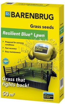 Barenbrug Trawa Resilient Blue Lawn 1kg