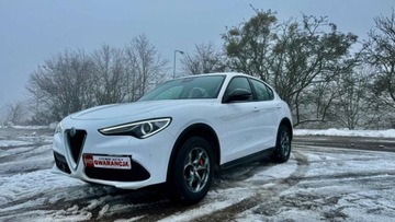 Alfa Romeo Stelvio SUV 2.0 Turbo 200KM 2019 Alfa Romeo Stelvio 2.0T 200KM 4X4 F-vat bezwyp...