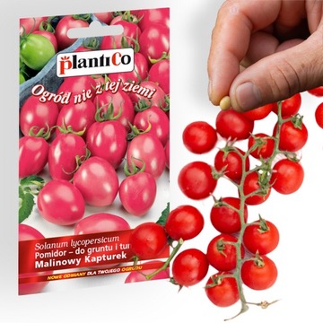 Семена овощей МАЛИНА МОЛОТАЯ ТОМАТ 0,2г. 600 штук с куста