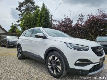 Opel 2019 Opel Grandland X Full Opcja 2.0 CDTI Automat 2.0 Diesel 177KM, zdjęcie 12