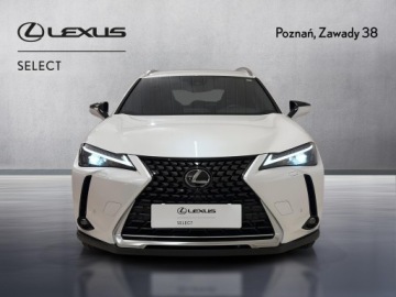 Lexus UX 2023 Lexus UX 200 GPF Business 2WD Lexus UX 200 GPF Bus, zdjęcie 5