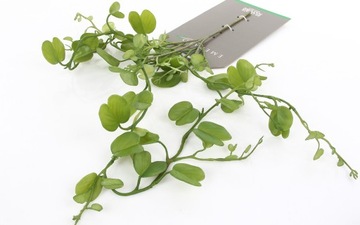 искусственная лоза HOYA KERRII 90 листьев лозы ходжи