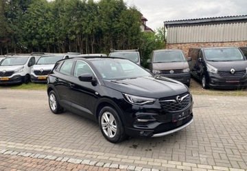 Opel 2021 Opel Grandland X OPEL GRANDLAND X 1.5 Diesel 130KM, zdjęcie 2