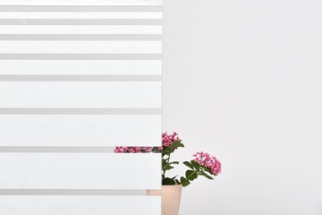 Folia statyczna PASY Dekoban 67,5x150