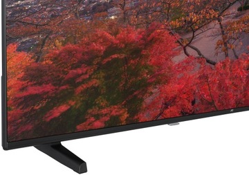 Telewizor JVC LT-65VA3300 LED 4K Android TV HDR10