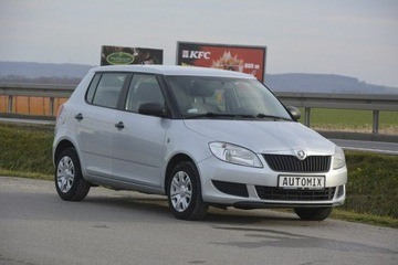 Skoda Fabia 2014 Škoda Fabia Skoda Fabia 1.6TDI Polski Salon, zdjęcie 11